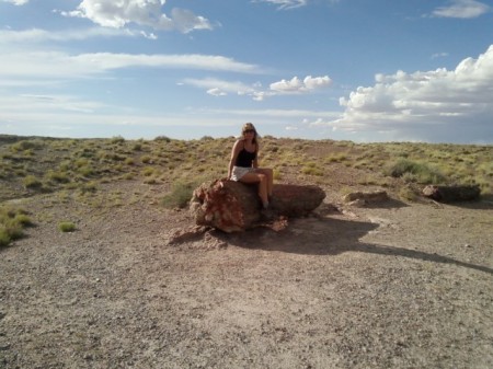 Petrified Forest Summer 09