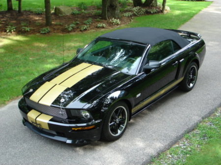 2007 Shelby GTH Convertible Photo 2