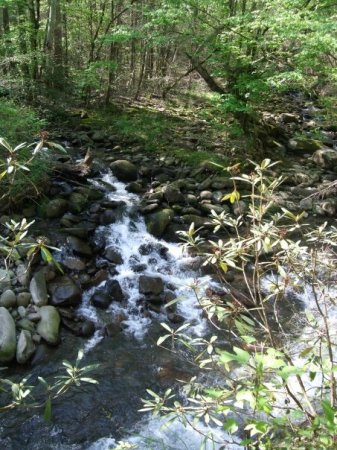 Nice little waterfall on the trail