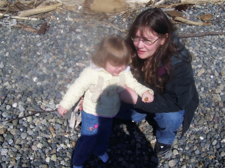 sand dollar hunt