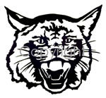Black Mountain Elementary School Logo Photo Album
