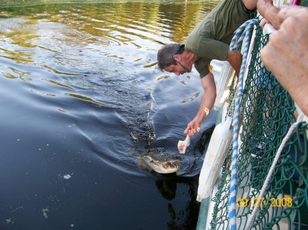 Gator Bait