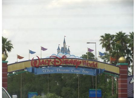 Disney world -