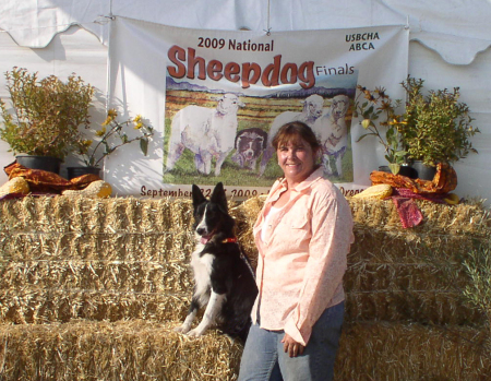 Me with Tipper at Sheepdog Championships