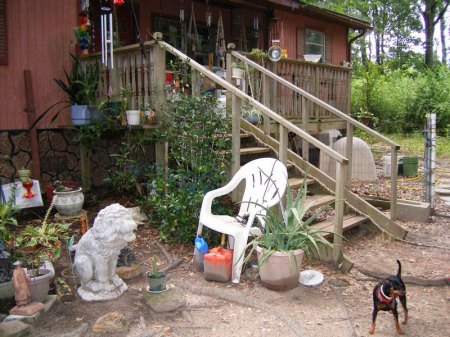 Lion area, front porch, my little dog