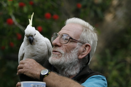 Seriously big bird & geriatric