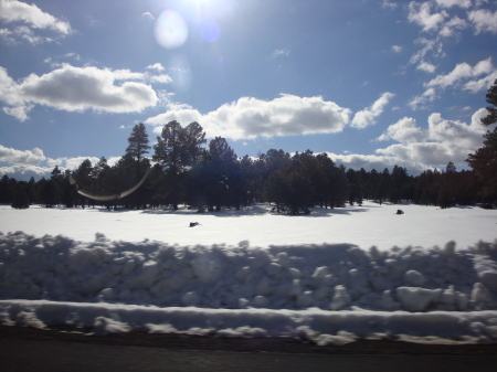 Winter in the mountains