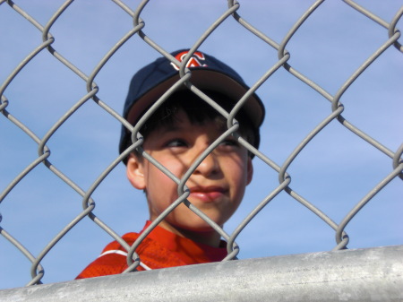 CAMS Baseball 2009