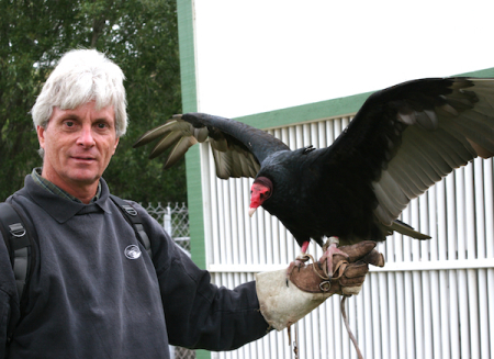 Bird named "Cinderella".