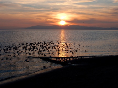 Sunset on SF Bay from Alemada