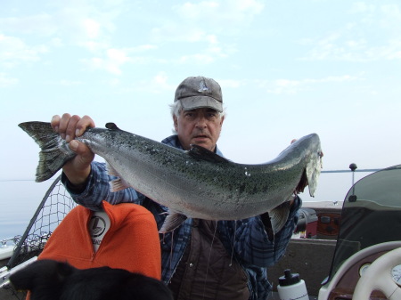 salmon fishing on manitoulin island