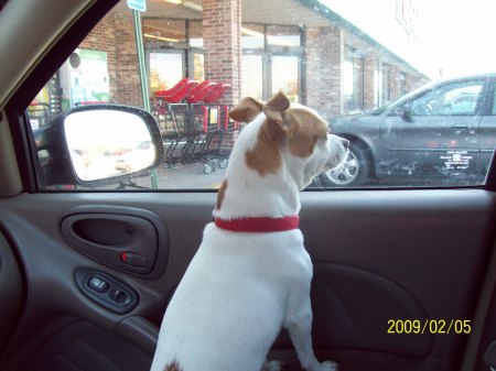 Missy waiting on her Moma while at W/D