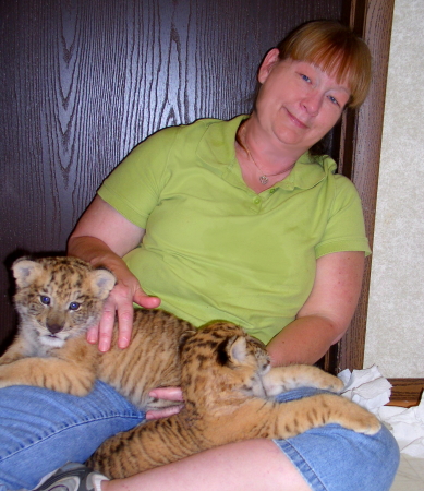 Liger cubs