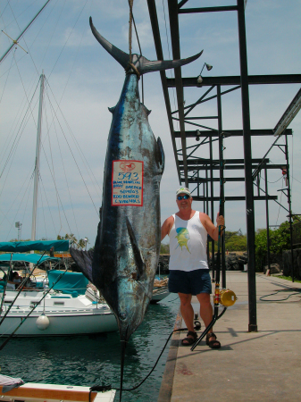 593 lbs. Blue Marlin