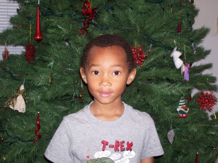 Little Austin at Christmas