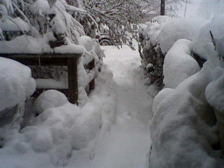 0206101236SNOW