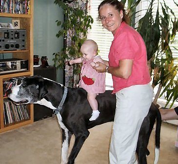 Tiny, the Great Dane, and first grandchild