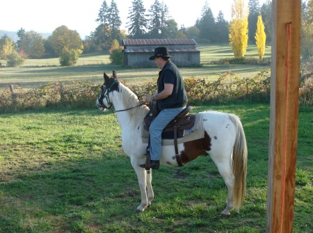 My horse