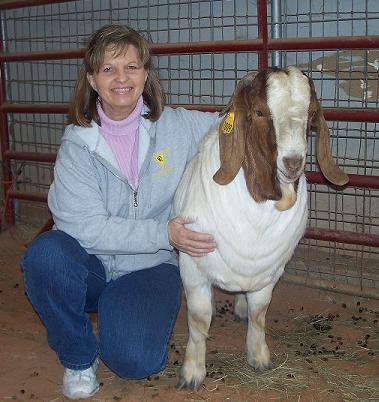 Dream Acres Boer Goats