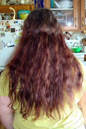 Back view before haircut Sept 11, 2008
