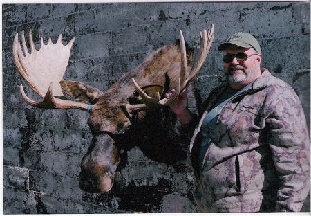 Wyoming Shiras Moose 2004