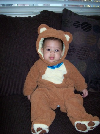 Beary Cute for Halloween