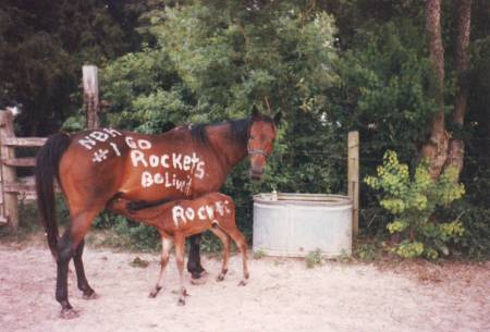 Mykawa Stables