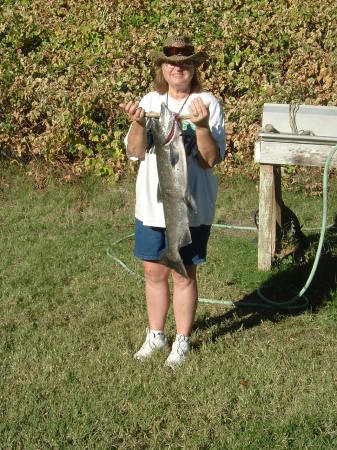 Salmon fishing 2008
