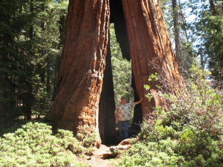 A day at Sequoia National park!