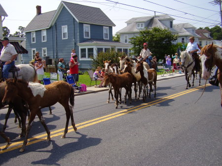 Pony swim 2009 - down south main st