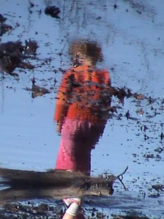 angelina reflection in the water