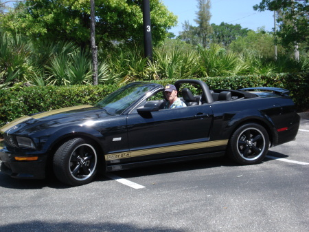 Rented a Shelby