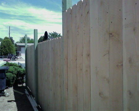 fence