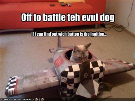 cat-goes-to-battle-dog1