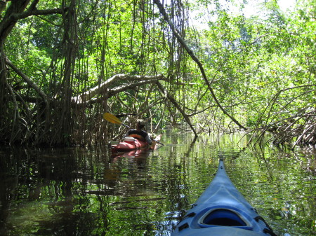 kayak