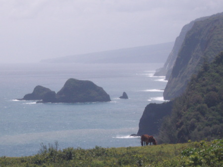 Wapio valley Hawaii