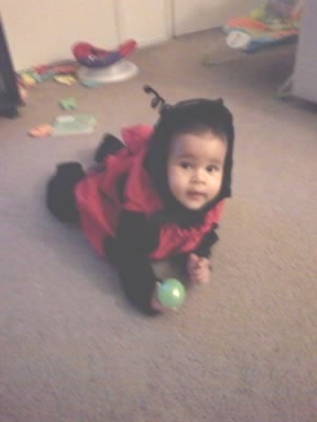 Yep cutest Lady Bug