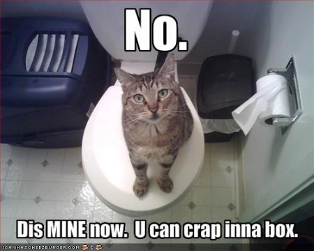 LOLcats.com