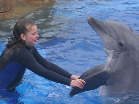 That dolphin was sure polite