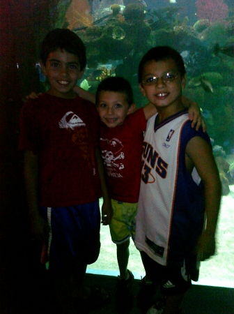 Daevin,Izaiah and Jon Carlo