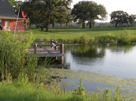 Our pond relaxing after a day of work