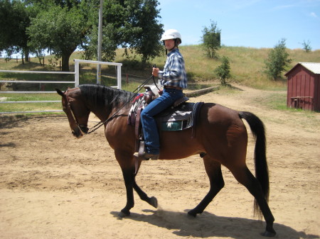 2009 Horseshow