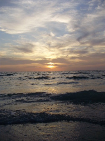 beach 7/2009