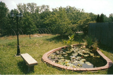 The original pond behind my house