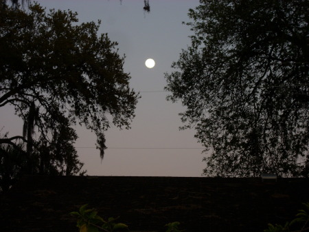 LARGEST MOON OF THE YEAR.