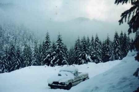 1994 Halloween Mt. Hood National Forest