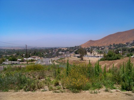 Ingall's Park Looking North