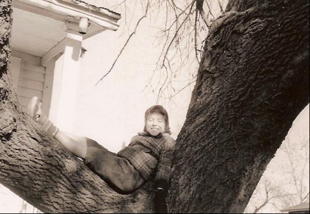 Tree in Ogdensburg, New York