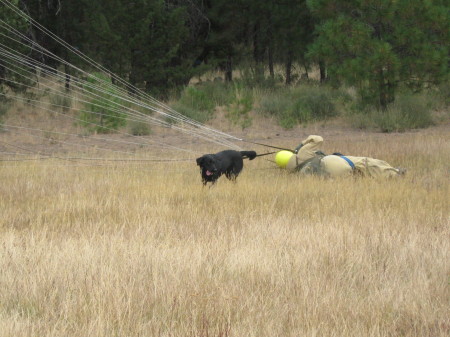 Dog rescues Smokejumper