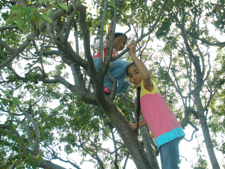 Sophia and Anna in the tree at Johns